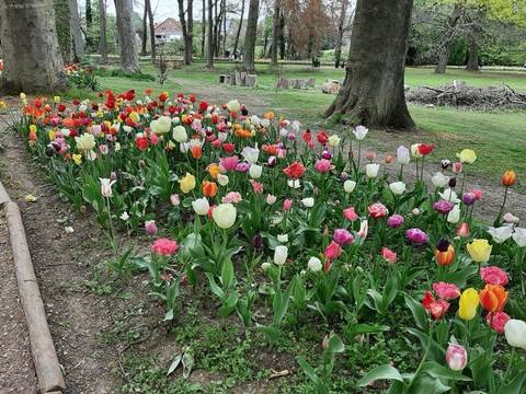 Foto 31 van 43 uit het album Daguitstap Groot-Bijgaarden (2022)