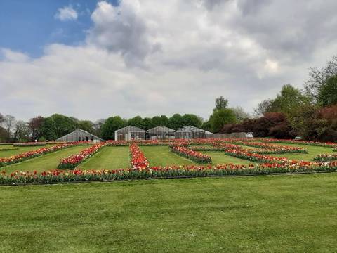 Foto 32 van 43 uit het album Daguitstap Groot-Bijgaarden (2022)