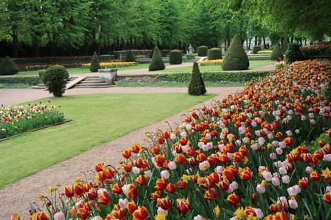 Foto 40 van 43 uit het album Daguitstap Groot-Bijgaarden (2022)