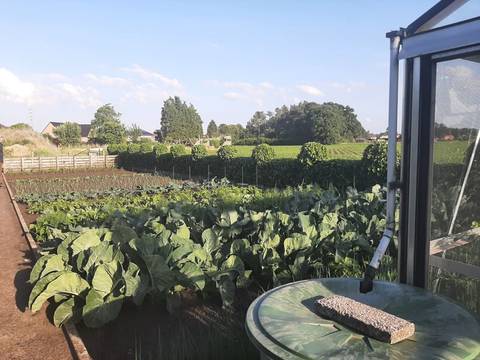 Foto 6 van 7 uit het album Praktische tuinles in juni (2022)