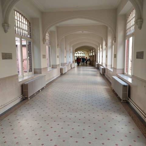 Foto 3 van 27 uit het album Uitstap Sint-Katelijne-Waver (2022)