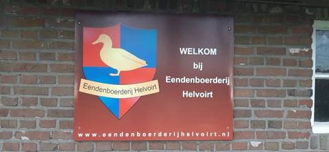 Foto 25 van 36 uit het album Bloembollen (2023)