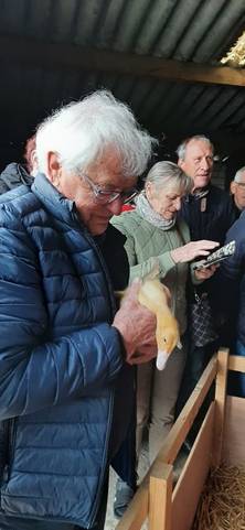 Foto 29 van 36 uit het album Bloembollen (2023)
