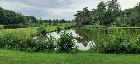 Foto 18 van 24 uit het album Fietstocht (2023)