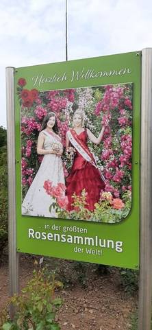 Foto 12 van 66 uit het album Reis naar de Harz (2023)