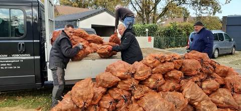 Foto 3 van 9 uit het album Verdeling witloofwortels (2023)