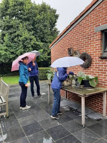 Foto 4 van 39 uit het album Bloei en de Tuinhierdagen (2024)