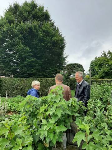 Foto 14 van 39 uit het album Bloei en de Tuinhierdagen (2024)