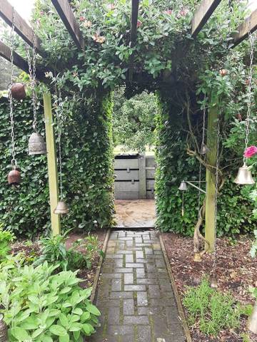 Foto 15 van 39 uit het album Bloei en de Tuinhierdagen (2024)