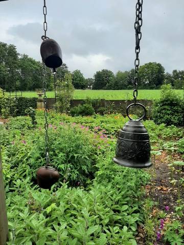 Foto 24 van 39 uit het album Bloei en de Tuinhierdagen (2024)