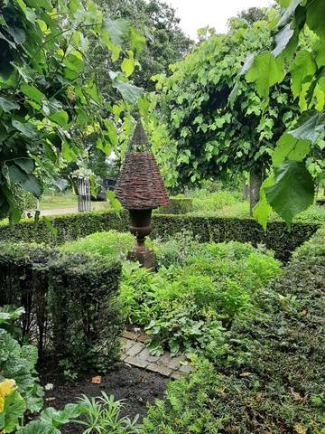 Foto 33 van 39 uit het album Bloei en de Tuinhierdagen (2024)