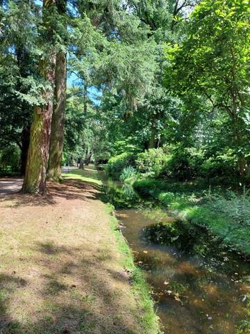 Foto 12 van 37 uit het album Uitstap Kleve (2024)