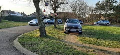 Foto 3 van 10 uit het album Verdeling potgrond (2024)