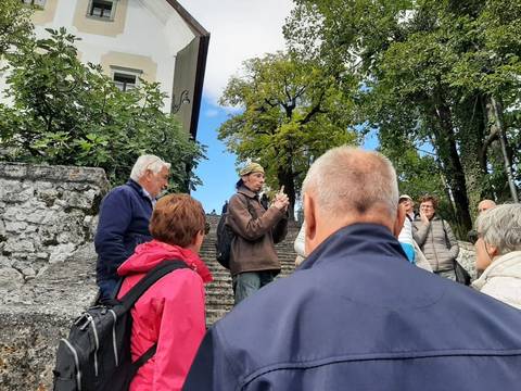 Foto 16 van 67 uit het album Reis naar Slovenië (2024)