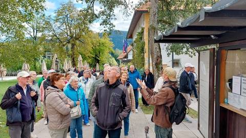 Foto 18 van 67 uit het album Reis naar Slovenië (2024)