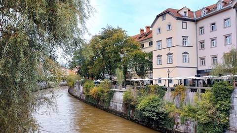 Foto 33 van 67 uit het album Reis naar Slovenië (2024)