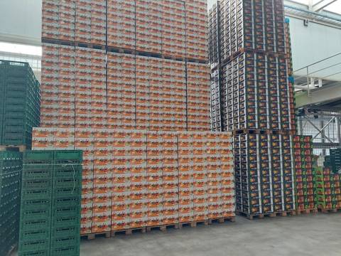 Foto 13 van 22 uit het album Uitstap Hoogstraten (2024)
