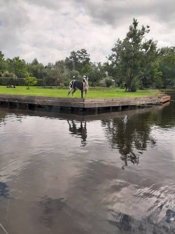 Foto 7 van 22 uit het album 2026 4-daagse reis naar Assen (2026)