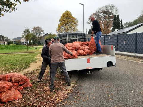 Foto 2 van 10 uit het album Verdeling witloofwortels (2024)