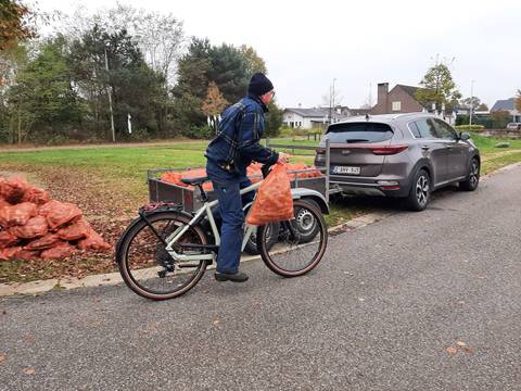 Foto 7 van 10 uit het album Verdeling witloofwortels (2024)