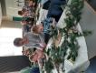 images/fotoalbums/2022/2022_kerstbloemschikken_kinderen/2022_kerstbloemschikken_kinderen_008.jpg