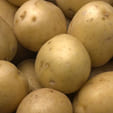Pas gerooide aardappelen