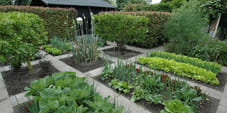 Moestuin met aangelegde groentebedden en lage hagen